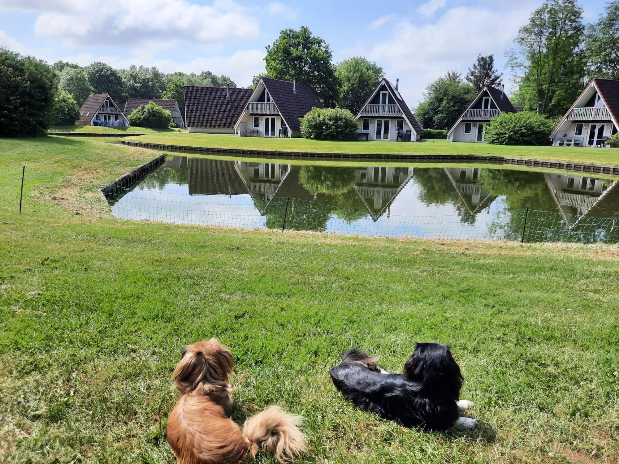 De Gouwe, 158 - Aan Visvijver, De Beste Visstek Gramsbergen Kültér fotó